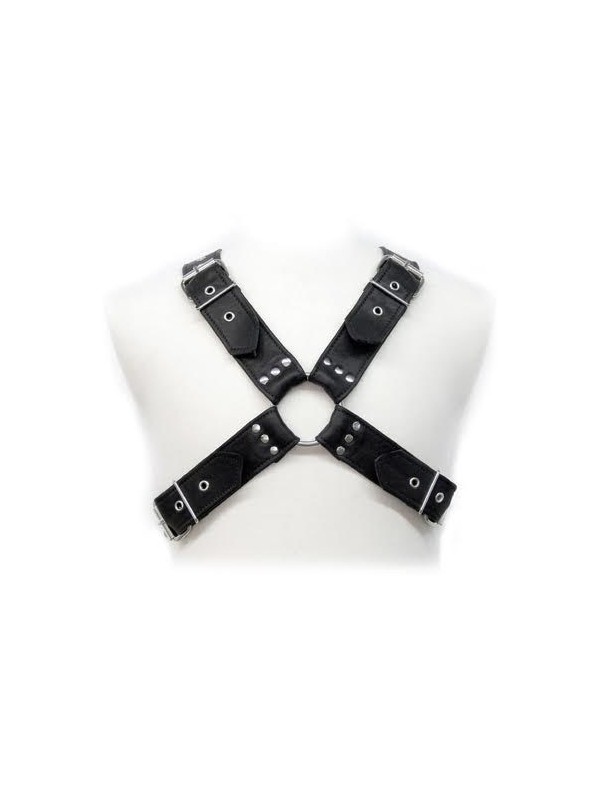 LEATHER BODY - BUCKLES HARNESS
